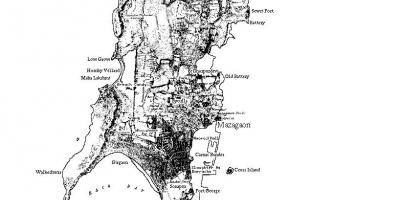Kaart van Mumbai eiland